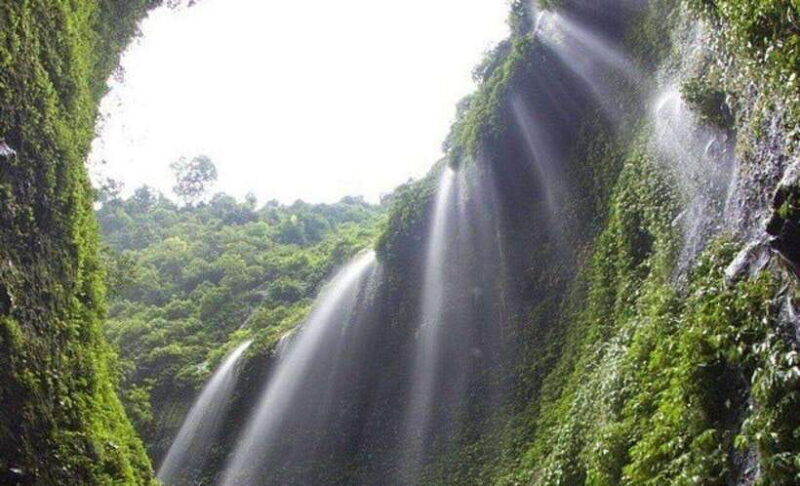 Surabaya to Bali: All Inclusive 9-Day Tour with local guide - An In-Depth Look at the 9-Day Itinerary