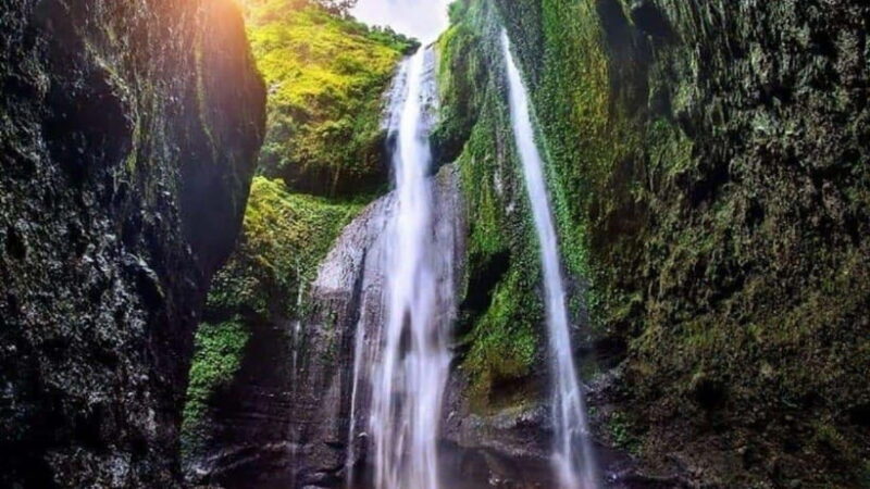 Surabaya to Bali: All Inclusive 9-Day Tour with local guide - The Value Proposition