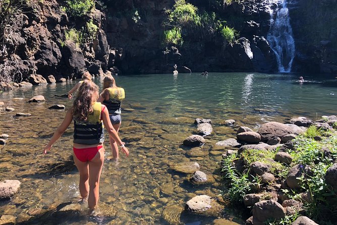 Surf and SeaTurtles Oahu Tour - Whats Included in the Tour
