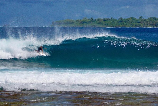 Surf Lessons - Booking and Pricing