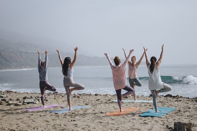 Surf Lessons for Beginners and Intermediates (6 People per Instructor) - Customer Reviews