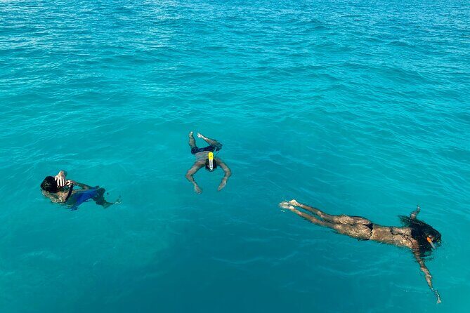 Surf Lessons & Snorkeling Crystal Blue Water #1 Experience 8hr - The Itinerary: A Closer Look