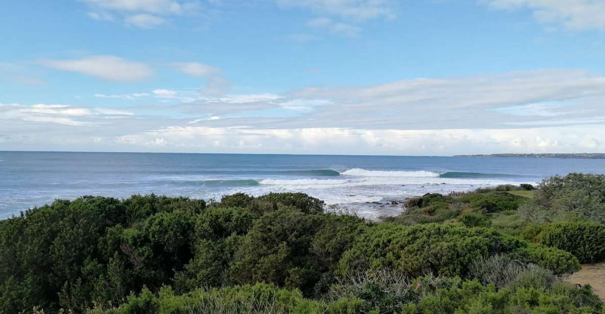 Surf Sardinia: Personal Surf Guide in Sardinia - Highlights of the Experience