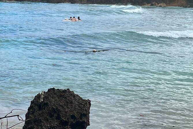 Surfing and Motorized Canoeing Private Tour in Jamaica - The Sum Up