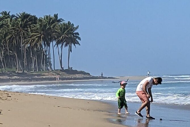 Surfing Experience in Cabarete Dominican Republic - What Past Participants Say