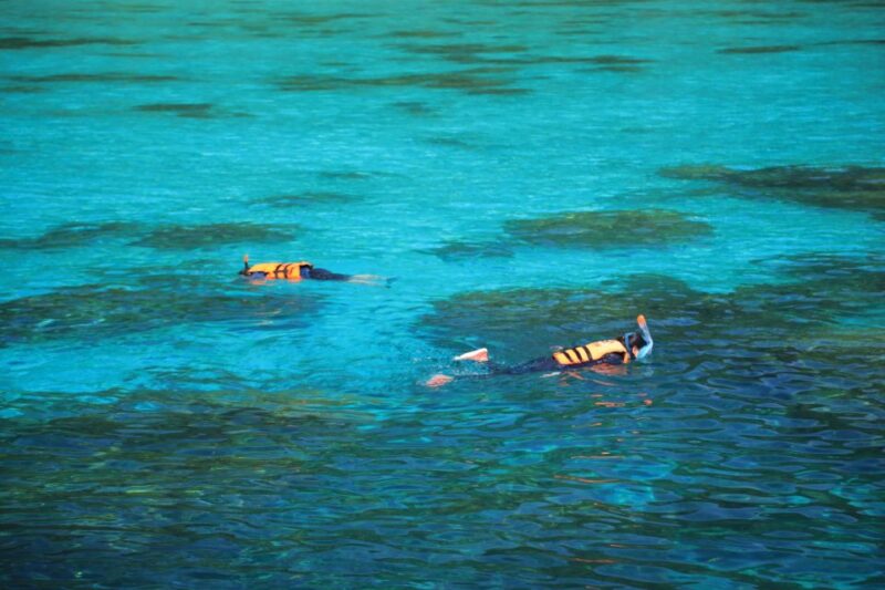 Surin Island - Snorkeling Tour - Customer Reviews and Feedback