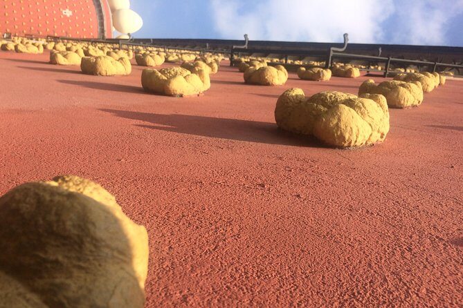 Surreal experience: visit the Dalí museum - Why Visit the Dalí Museum?