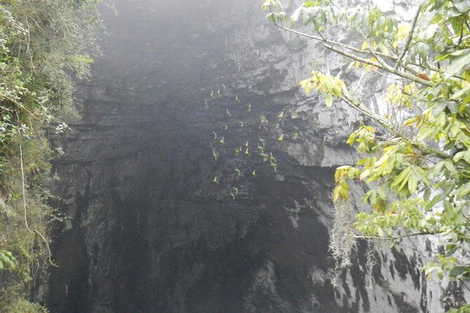 Surrealist Garden Tour in Xilitla and Sotano de las Huahuas - Frequently Asked Questions