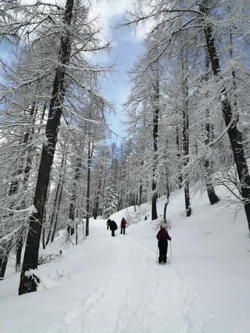 Susa Valley at dawn: snowshoeing in nature and silence - The Experience in Detail