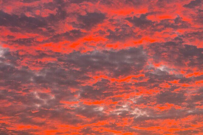 Sushi sunset tour - An In-Depth Look at the Bonaire Sushi Sunset Tour