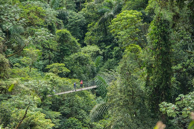 Suspension Bridges, Fortuna Waterfall, Typical Lunch - Indulging in a Typical Lunch