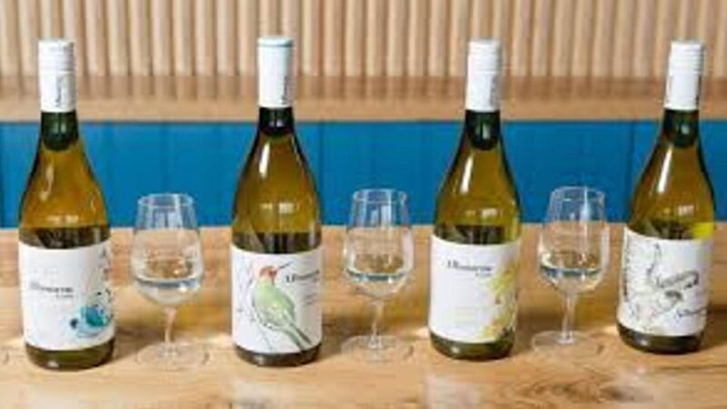 Sussex Vineyard Tour by Minibus - pick up and drop off - Key Points