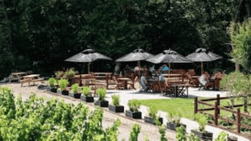 Sussex Vineyard Tour by Minibus - pick up and drop off - Why This Tour Might Be Perfect for You