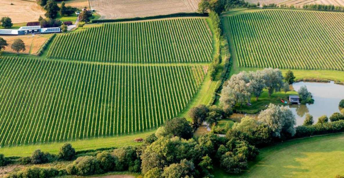 Sussex Vineyard Tour - Wine and Food Experience