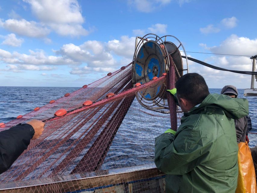 Sustainable Fishing Tourism Egadi Islands With On-Board Lunch - Fishing Activities