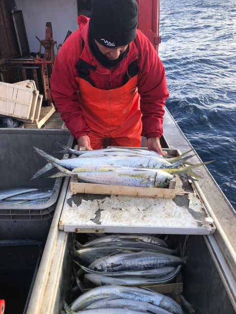 Sustainable Fishing Tourism Egadi Islands With On-Board Lunch - Delectable Sicilian Lunch