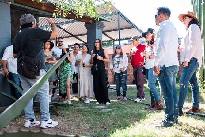 Sustainable Mezcal Adventure Food and Education Tour - Final Thoughts