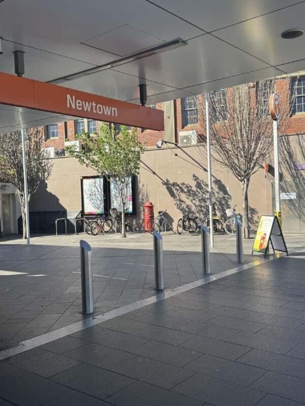 Sustainable Sydney Tours - eco conscious collective Newtown - A Deep Dive into the Experience