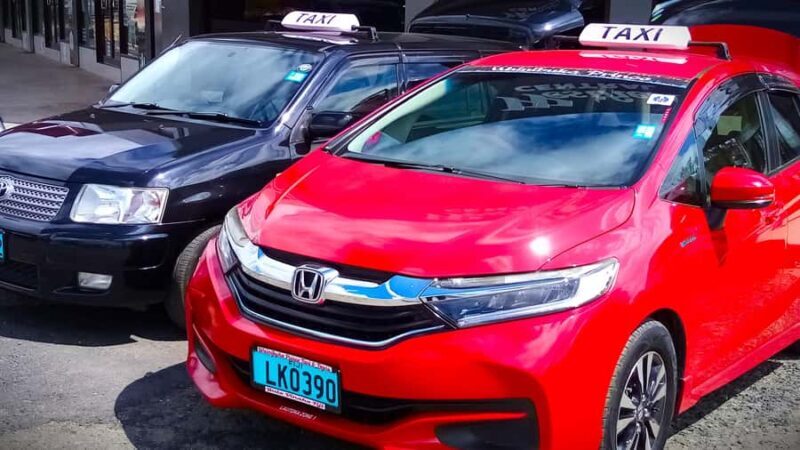 Suva Cruise Ship Tour - Key Points