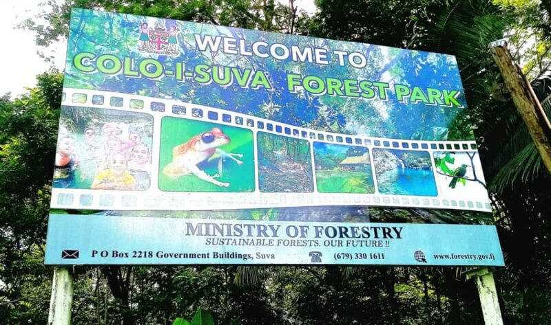 Suva Cruise Ship Tour - Final Thoughts: Who Should Consider This Tour?