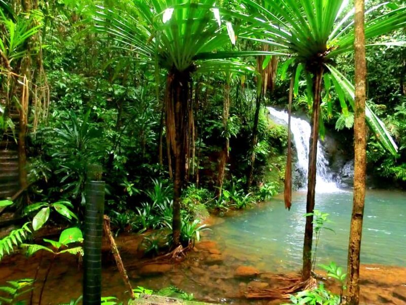 Suva: Fijian Nature and Waterfall Tour - Key Points