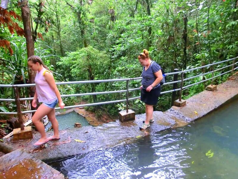 Suva: Fijian Nature and Waterfall Tour - FAQ