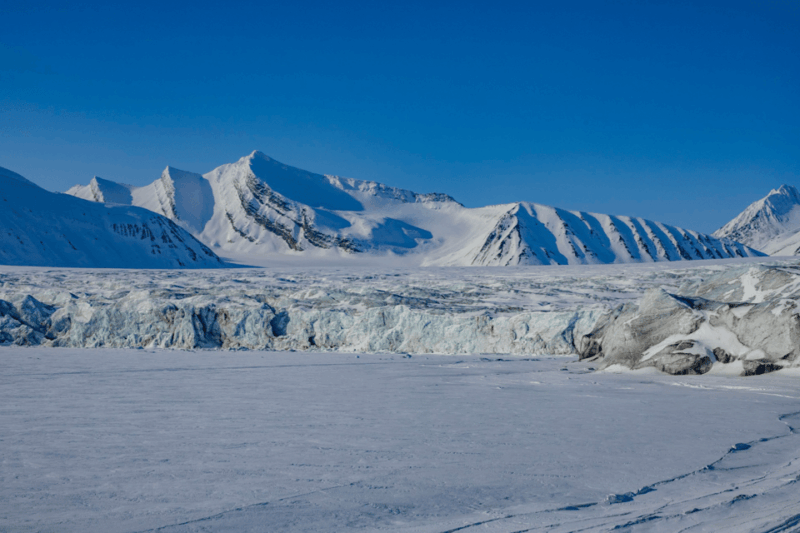 Svalbard: Dog Sledding and Northern Lights Tour With Hut … - Good To Know