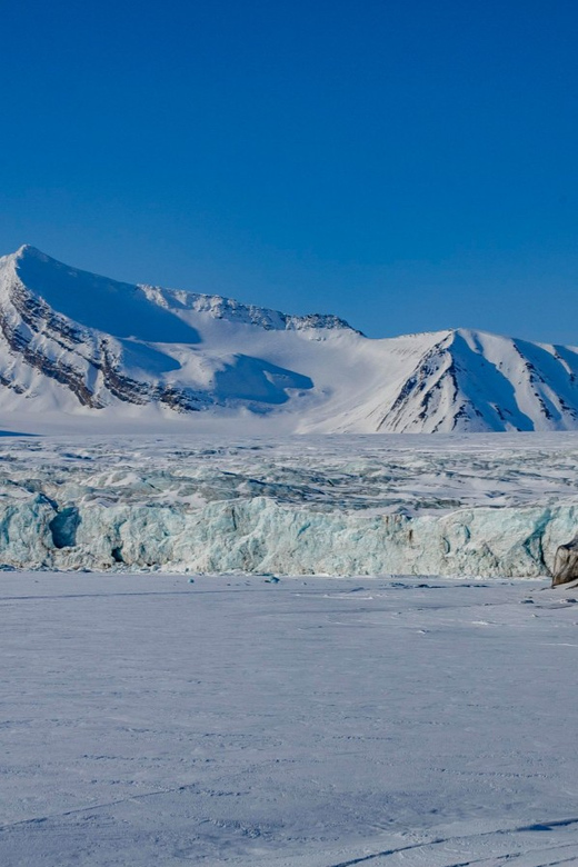 Svalbard: Dog Sledding and Northern Lights Tour With Hut … - Experience Highlights
