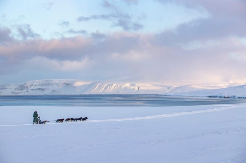 Svalbard: Dog Sledding and Northern Lights Tour With Hut … - Participant Restrictions