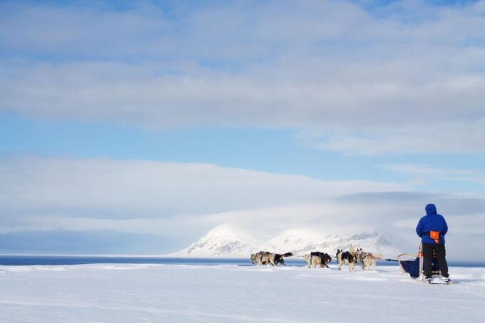 Svalbard: Dog Sledding and Northern Lights Tour With Hut … - Safety Guidelines