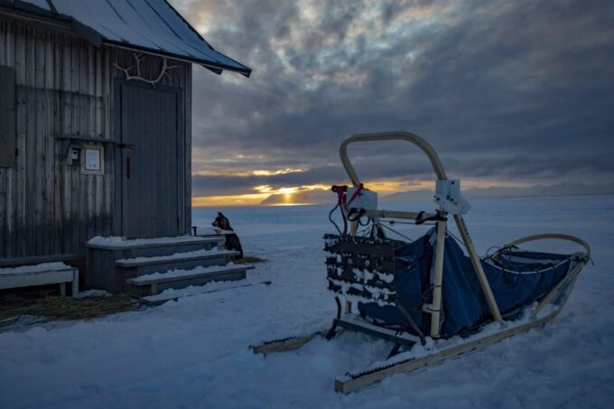 Svalbard: Dog Sledding and Northern Lights Tour With Hut … - Frequently Asked Questions