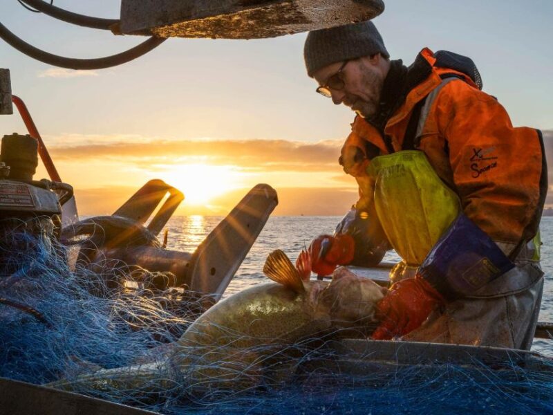 Svolvær: Fishing Trip on the Lofoten Sea - Important Participant Details