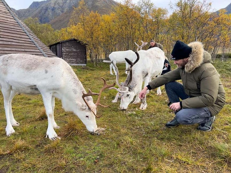 Svolvær: Sami Culture and Reindeer Experience - Who Should Consider This Tour?
