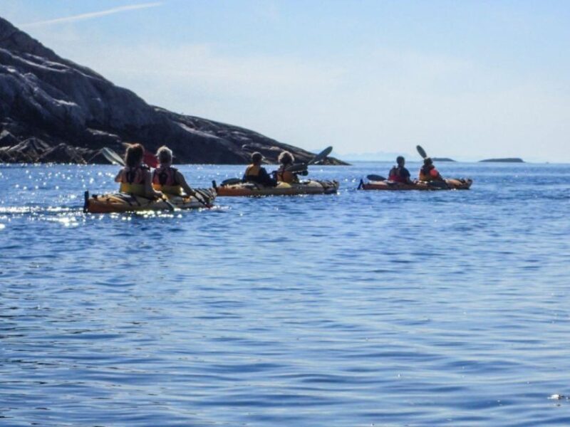 Svolvaer: Sea Kayaking Experience - Good To Know