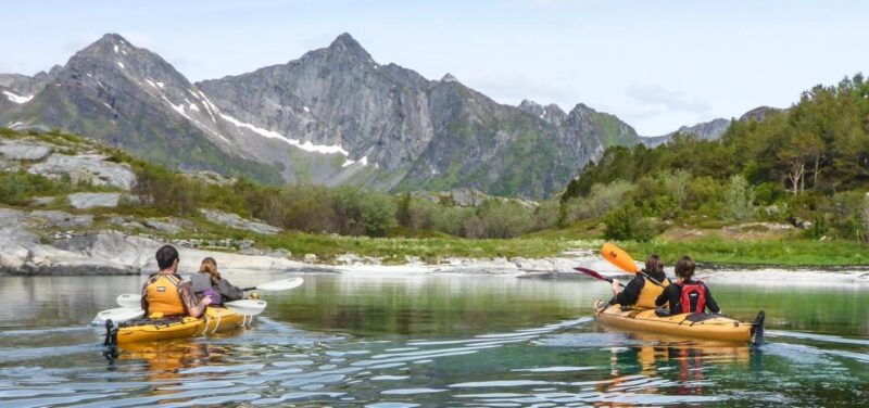 Svolvaer: Sea Kayaking Experience - Pricing Details