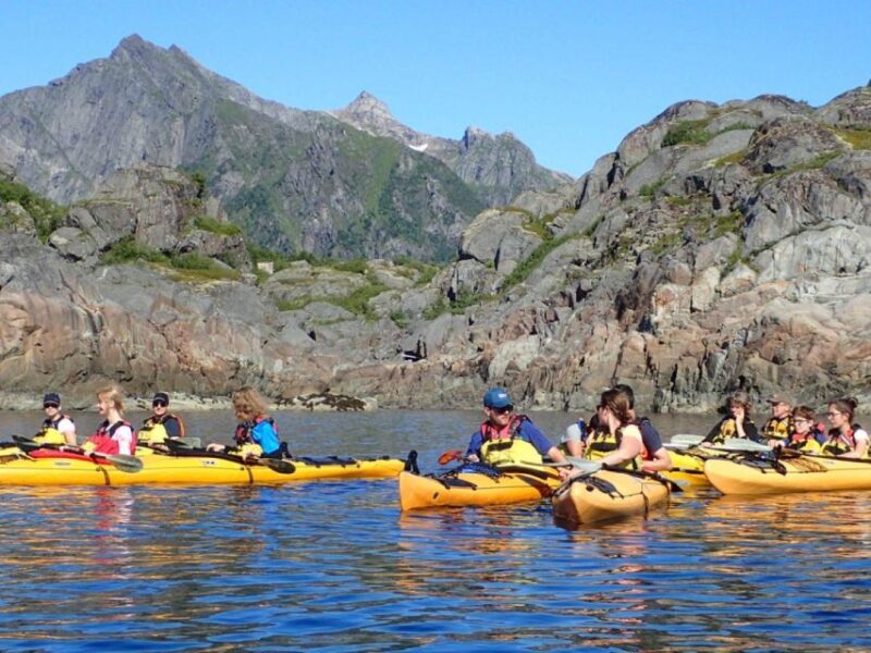 Svolvaer: Sea Kayaking Experience - Equipment Provided