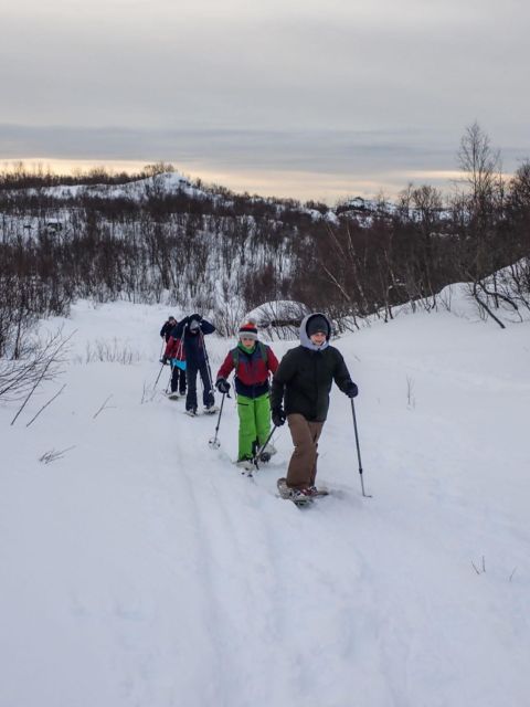 Svolvaer: Snowshoeing Half Day - Good To Know