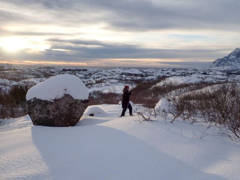 Svolvaer: Snowshoeing Half Day - Experience Highlights