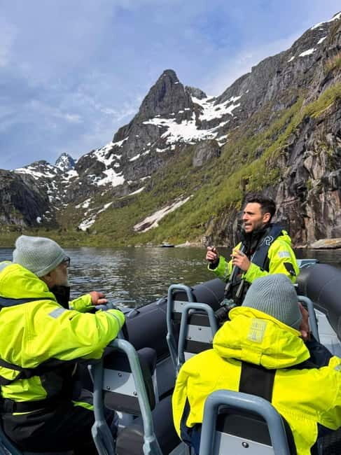 Svolvær: White-Tailed Eagle Safari with professional RIB - The Sum Up