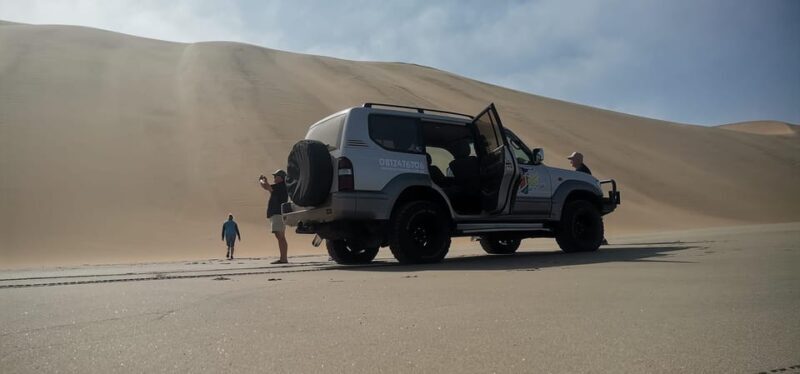 swakopmund city tour dune 7 pink lake pink flamingos - A Practical Breakdown of the Tour Experience