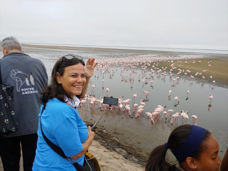 swakopmund city tour dune 7 pink lake pink flamingos - Who Will Love This Tour?