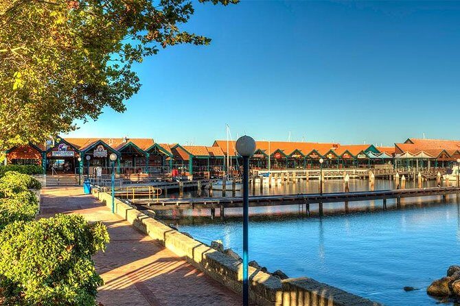 Swan River Scenic Cruise - Authentic Experiences and Passenger Feedback