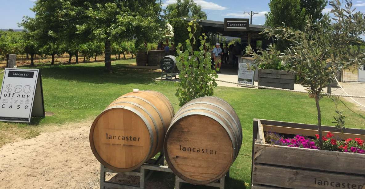 Swan Valley: Full-Day Wine Tour With Lunch - Full Day Tour Description