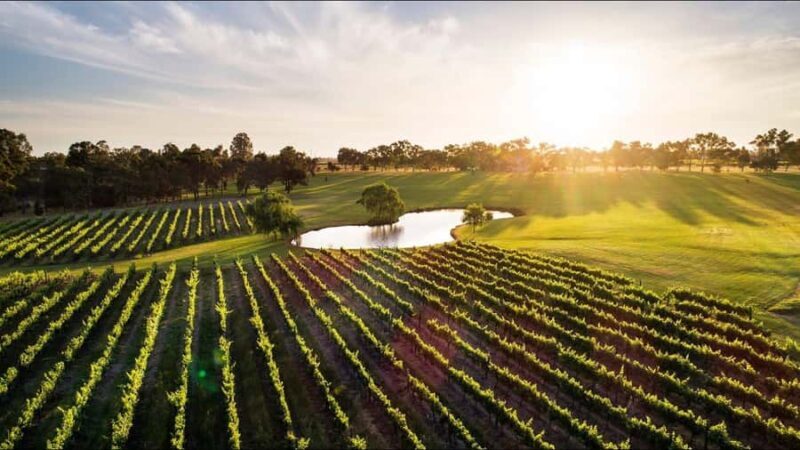 Swan Valley: Tour with 5 star Culinary Chefs 5 course lunch. - Arriving at Sandalford Wines: A Historic Winery with Modern Flair  