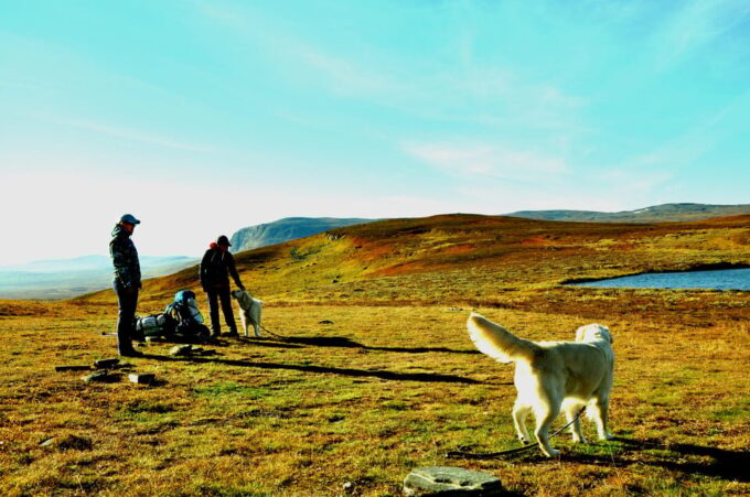 Swedish Lapland: a Trekking Week With Helicopterflight - Equipment Requirements