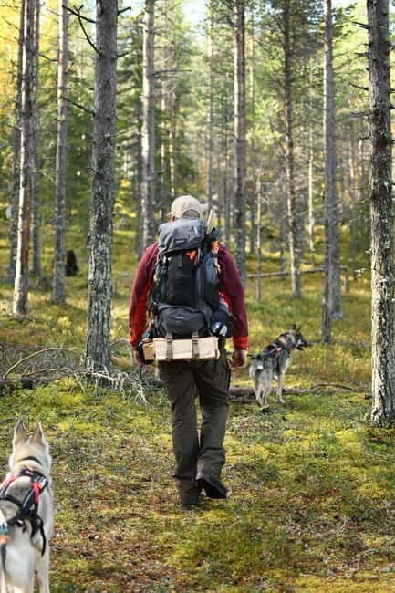 Swedish Lapland: Guided Summer Hiking Tour with Lunch - A Closer Look at the Swedish Lapland Guided Hike