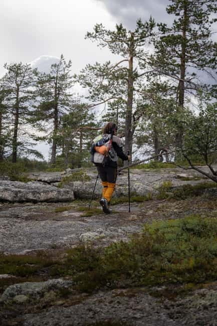 Swedish Lapland: Guided Summer Hiking Tour with Lunch - Final Thoughts: Who Will Love This Tour?