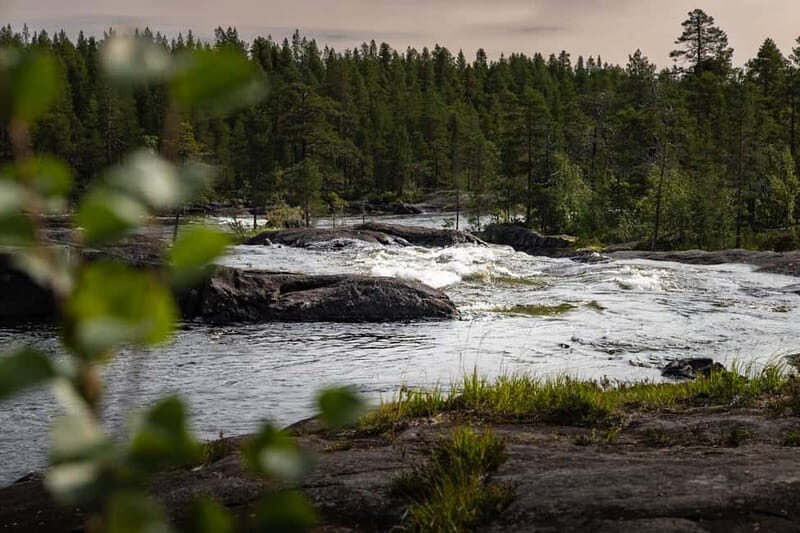Swedish Lapland: Midnight Sun Photography Workshop - How the Experience Unfolds