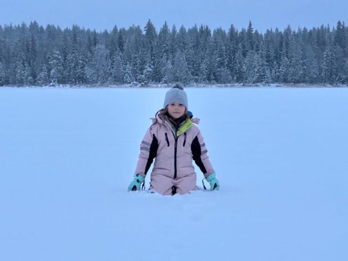Swedish Lapland : Sled Dog and Reindeer Farm With the Family - Daily Itinerary Breakdown