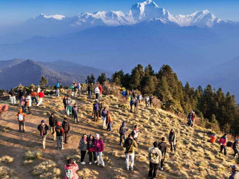 Sweet and Memorable 4 Day Poon Hill Trek - What to Expect in Terms of Comfort and Logistics